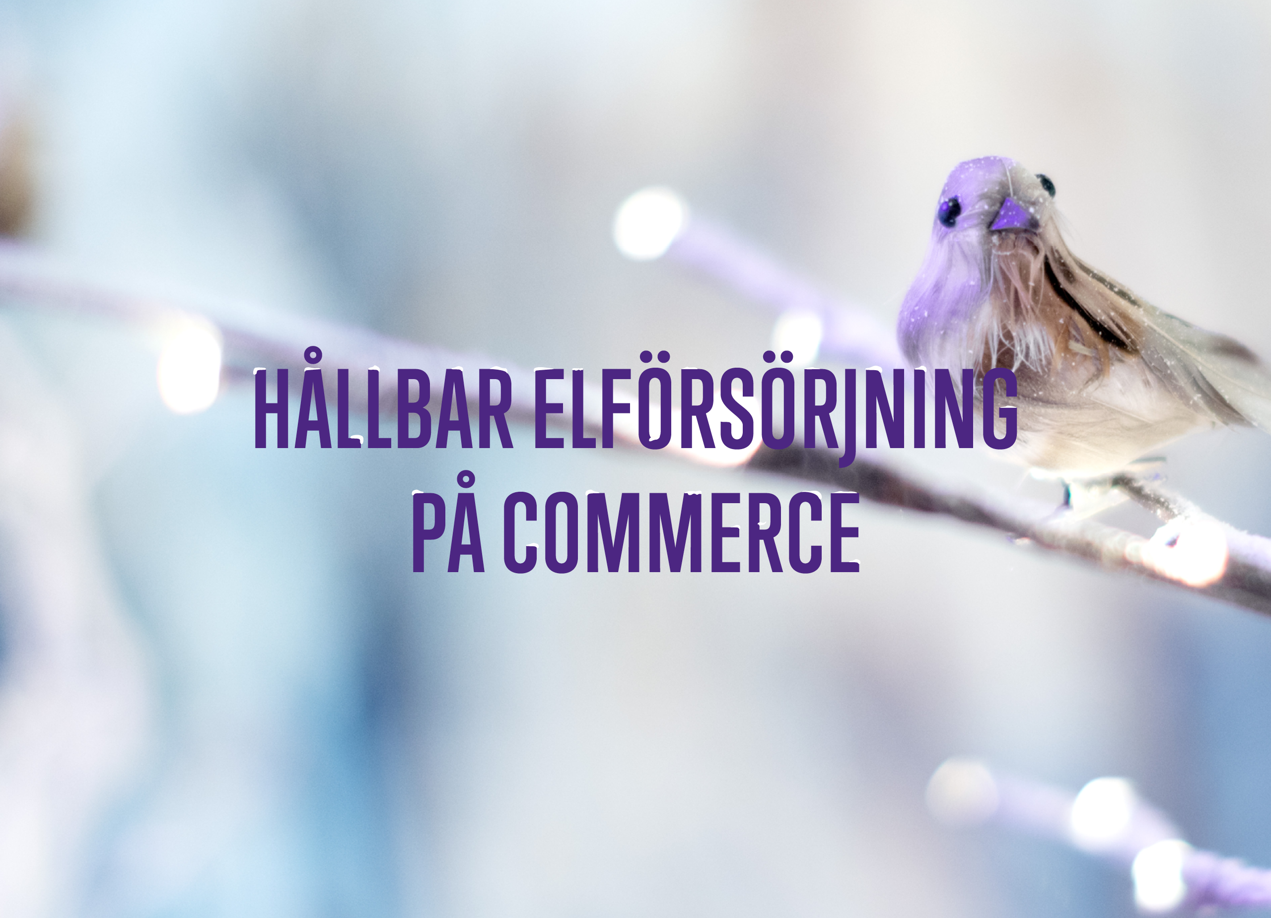 hallbar-elforsorjning-pa-commerce-img